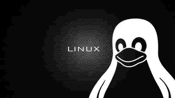 Linux 5.0 hayali başka bahara kaldı