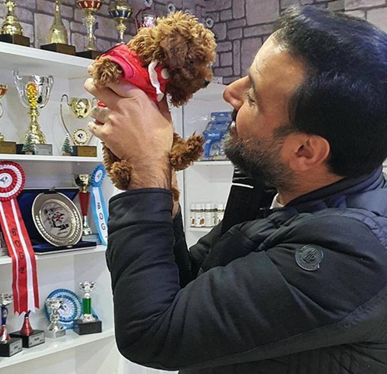 Alişan, Çocukları İçin Kaju Adında Bir Poodle Köpek Sahiplendi