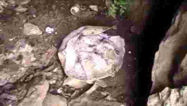 4 yıl önce cinayet uğrayan şahsın eşyaları ve kemik parçaları Kato Dağı eteklerinde bulundu