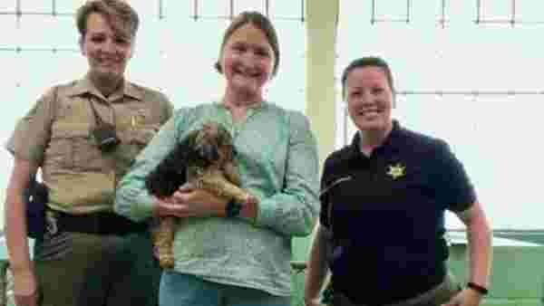 7 yıl önce kaybolan köpek, 28 Haziran'da evinden yüzlerce kilometre uzaklıkta bulundu