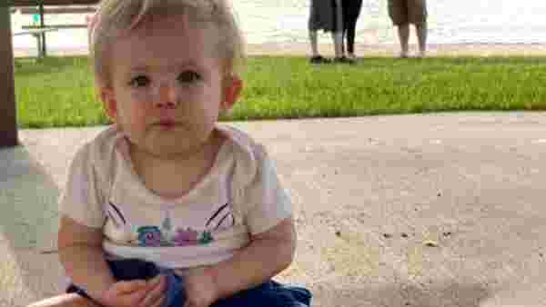 ABD'de pitbull dehşeti: 17 aylık bebeği öldürdü