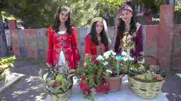 Aksaray'da festivalle bozulan bağlardaki üzümler pekmeze dönüştü