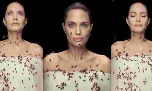 Angelina Jolie, 'Arılar Günü'nde Arılarla Objektif Karşısına Geçti