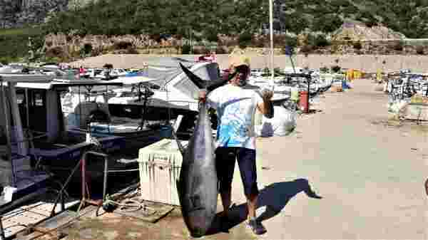 Antalyalı balıkçıların dev orkinos ile 4 saat süren mücadelesi