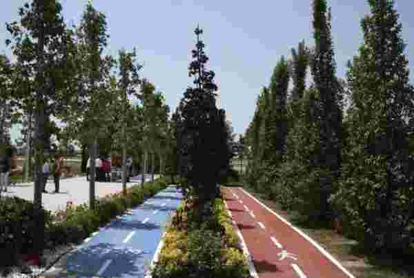 Atatürk Havalimanı Millet Bahçesi'ne 145 bin 300 ağaç dikilecek