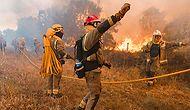 Avrupa'da Sıcak Hava Alarmı: İspanya'da 30'dan Farklı Noktada Orman Yangını Çıktı
