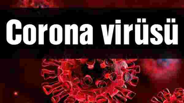 Türk Tabipleri Birliği Corona virüsünden korunmak için gerekli tedbirleri açıkladı