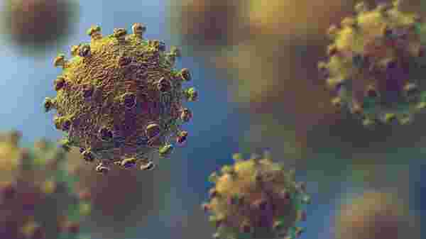 Prof. Dr. Tufan Tükek cevapladı: Corona virüsü mutasyona mı uğruyor?