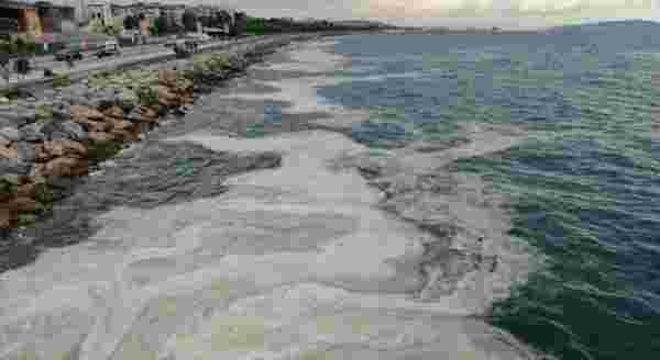 Bostancı Sahilinde deniz salyası yoğunluğu su altı kamerasıyla görüntülendi