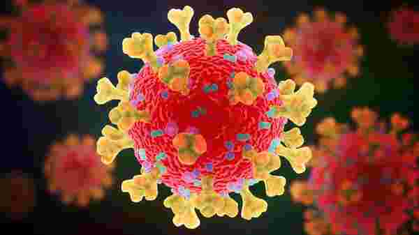 Corona virüsü aşısında büyük umut: Bilim insanları kan pıhtısı sorununu çözüyor