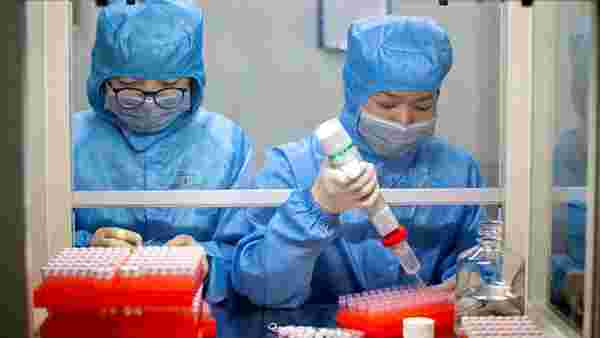 Dünya Sağlık Örgütü müjdeli haberi verdi: Koronavirüs aşısı yıl sonuna kadar hazır olabilir