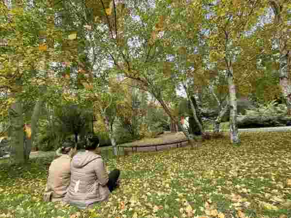 Erzurum'da parklar sonbahar renkleriyle güzelleşti