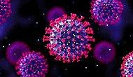 Koronavirüsün Yeni Varyantına Omicron Adı Verildi! Omicron Varyantı Nedir, Belirtileri Nelerdir?