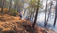 Bakan Kirişçi: 'Datça'daki Orman Yangını Kontrol Altına Alındı'
