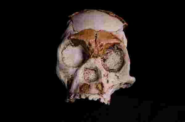 Güney Afrikalı araştırmacılar 250.000 yıl önce ölen bir çocuğun kafatasını buldu