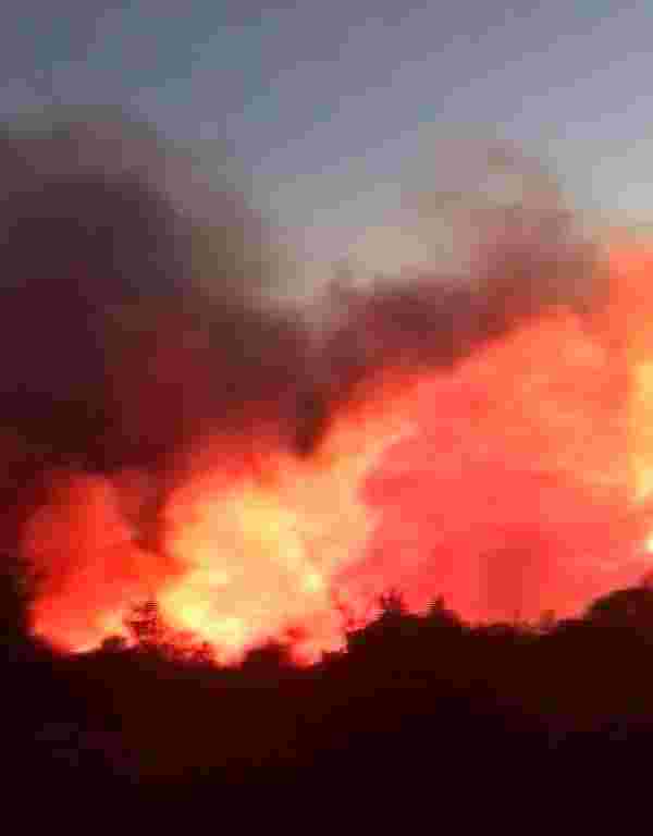 Karaburun'da ormanlık alan alev alev yanıyor
