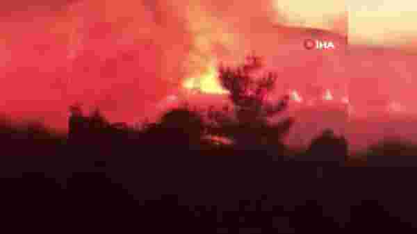 Karaburun'da ormanlık alan alev alev yanıyor