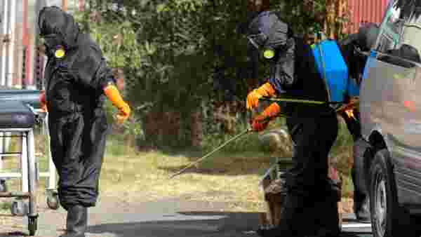 Koronavirüs: Bolivya'da sokaklardan 5 gün içinde 420 ceset toplandı