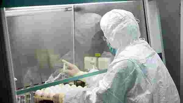 Koronavirüsün ardından Çin'de şimdi de 'Brusella bakterisi' salgını baş gösterdi