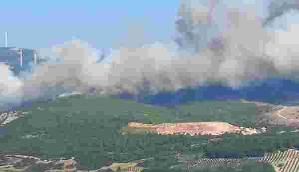 Manisa'da iki ayrı noktada orman yangını