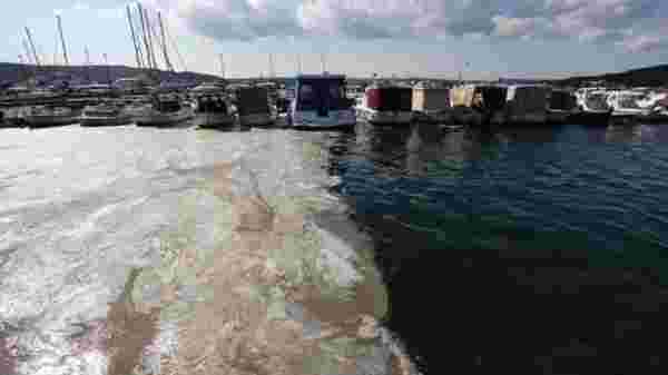 Marmara Denizi için müsilaj uyarısı: Kanal İstanbul çılgınlığından vazgeçilmelidir