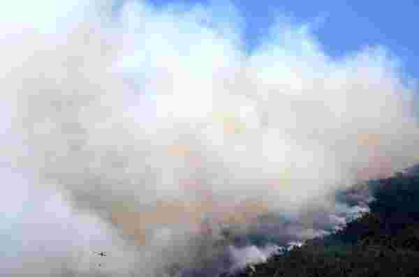 Marmaris'te yanan ormanlık alan havadan görüntülendi