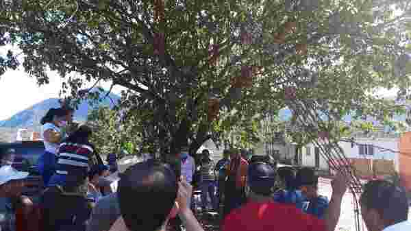 Meksika'da kaliteli hizmet vermeyen Belediye Başkanı mahalleli tarafından ağaca bağlandı