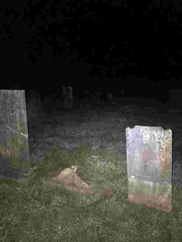 Mezarlıkta çektiği fotoğrafa eve dönünce bakan adam, hayaleti görünce şok oldu