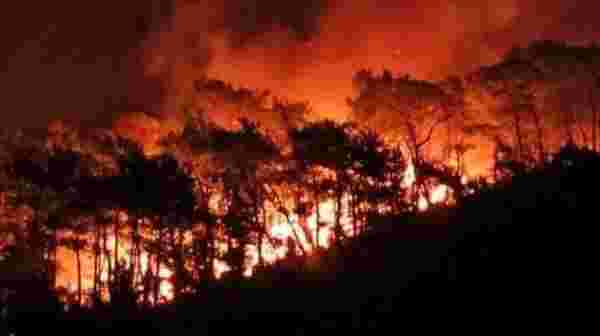 Muğla'daki orman yangını büyüyor