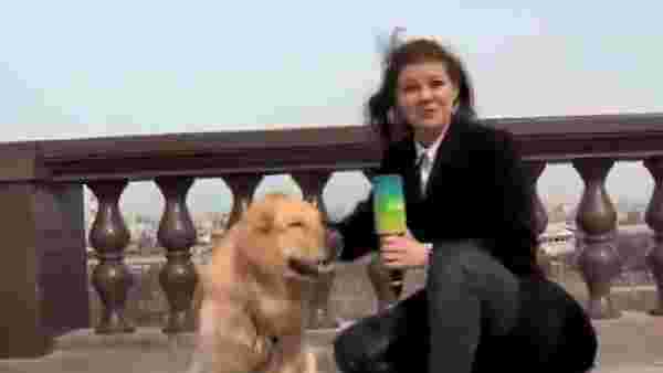 Muhabir, canlı yayın sırasında mikrofonunu kapıp kaçan köpeği kovaladı