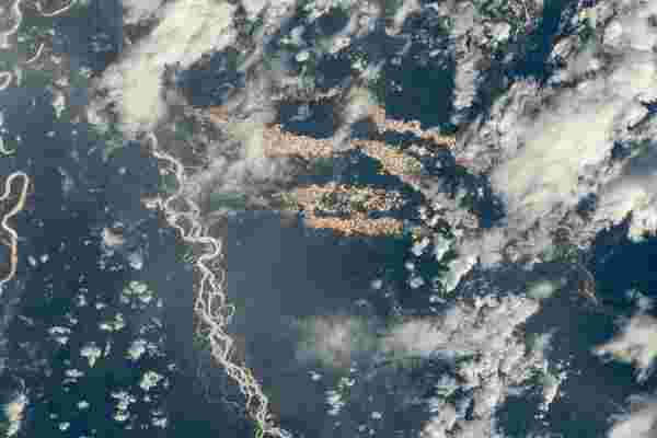 NASA'nın uzaydan çektiği fotoğraflar, Amazon'un 'altın nehirlerini' ortaya çıkardı