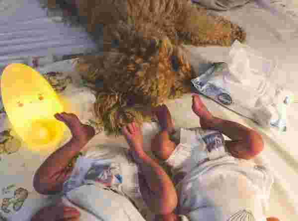 Pelin Akil ikiz bebeklerinin fotoğrafını paylaştı