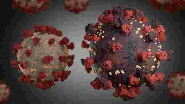 Corona virüsünün yeni bir mutasyonu keşfedildi: 3 kat daha bulaşıcı