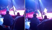 Seyirciler endişeyle izledi! Vahşi ayı, sirkte hamile eğiticisine saldırdı