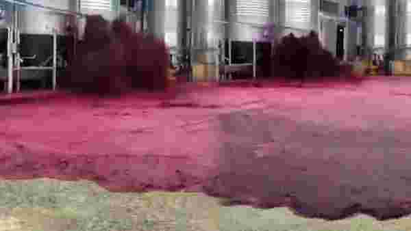 Şarap tankı patlayınca çevre kırmızıya boyandı! O anlar kamerada
