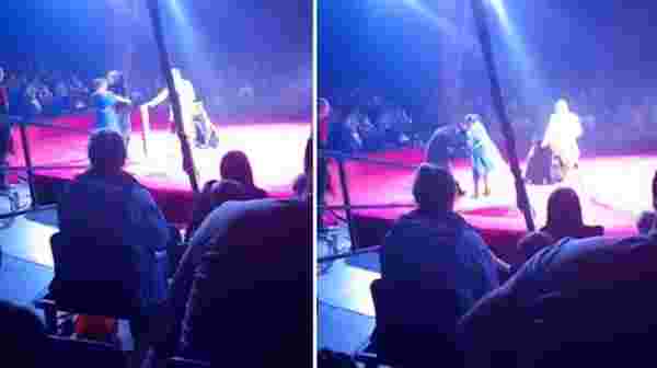 Seyirciler endişeyle izledi! Vahşi ayı, sirkte hamile eğiticisine saldırdı
