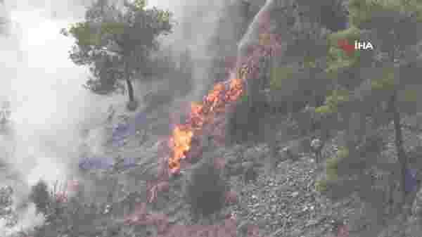 Son dakika haberi | KKTC'deki orman yangını kontrol altına alındı