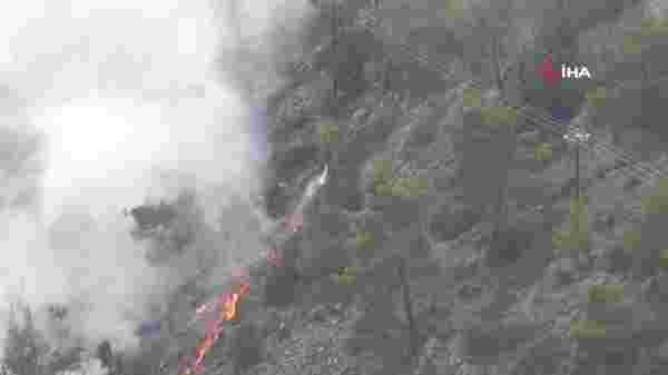 Son dakika haberi | KKTC'deki orman yangını kontrol altına alındı