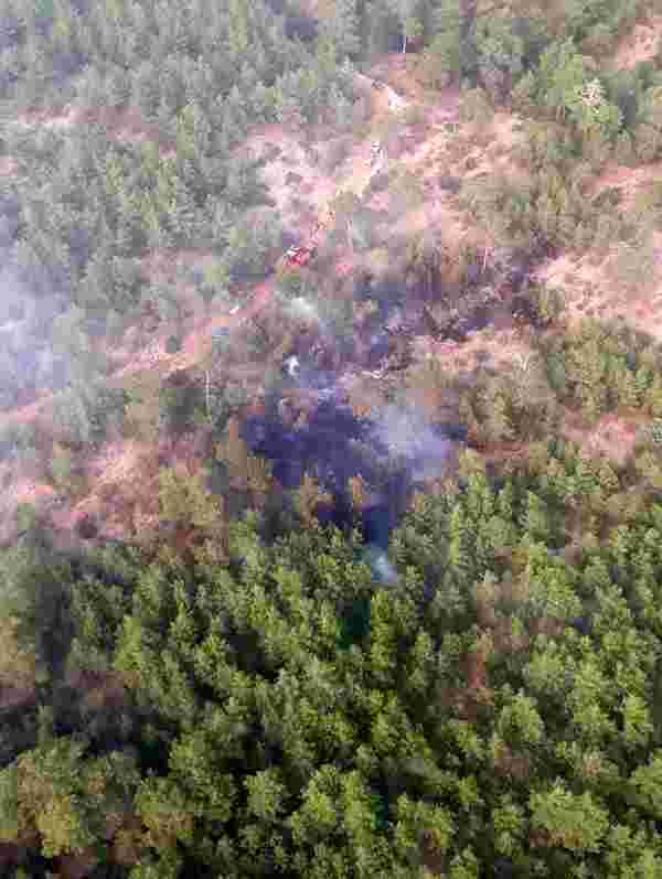 Son dakika haberi: Menteşe'de ormana düşen yıldırım yangına neden oldu