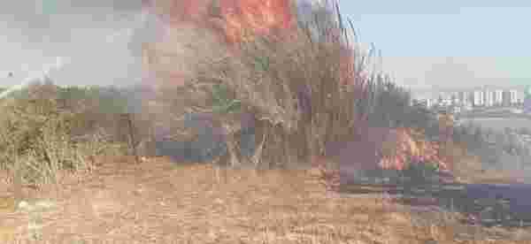 Son dakika haberi: Mersin'de ağaçlık alanda çıkan yangın söndürüldü