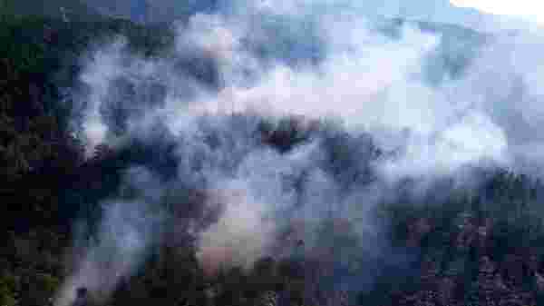 Son dakika haberleri: Bozyazı'da orman yangını