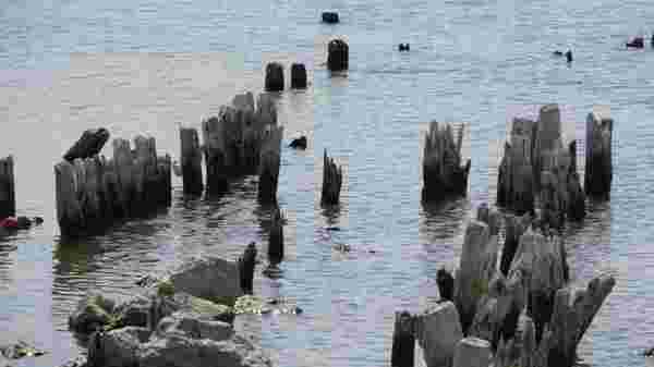 Son dakika! Van Gölü'nde suyun çekilmesi ile yüz yıllık iskele ortaya çıktı