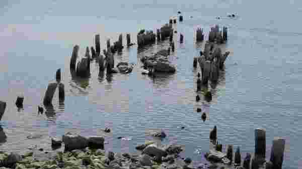 Son dakika! Van Gölü'nde suyun çekilmesi ile yüz yıllık iskele ortaya çıktı