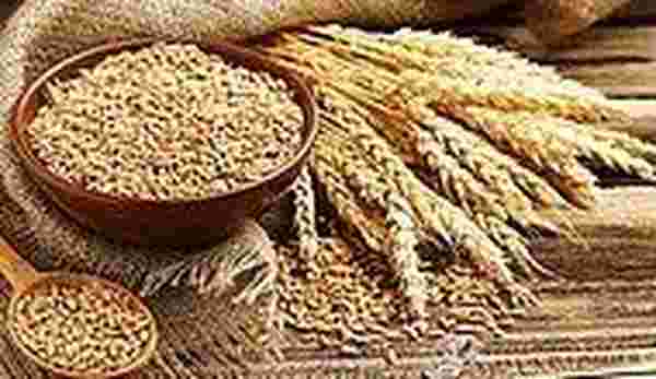 Ukrayna Krizi Türkiye'nin Ekmeğiyle Oynayacak: Buğday Fiyatları Ne Durumda?