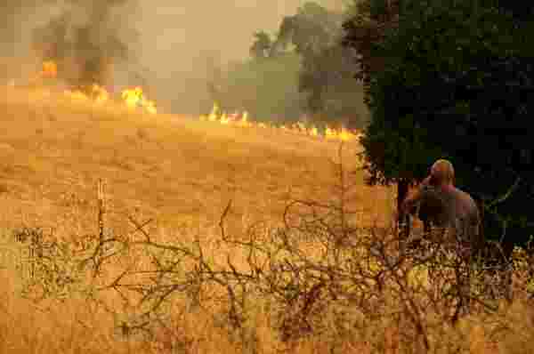 California yangınları: 500 bin hektarlık alan yandı