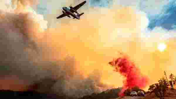 California yangınları: 500 bin hektarlık alan yandı