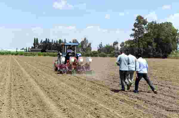Tarsus Belediyesi, bu kez de yerli tohumla soya fasulyesi ekti
