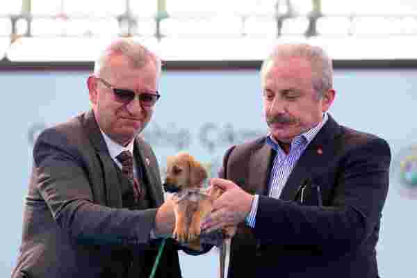 TBMM Başkanı Şentop'a barınak açılışında sokak köpeği armağan edildi
