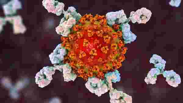 Trump'ın iyileşmesinde gündeme gelmişti! Koronavirüse karşı monoklonal antikor umudu