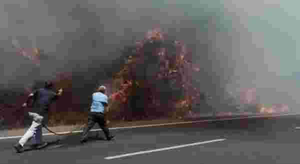 Ula'da orman yangını; 2 ev tahliye edildi